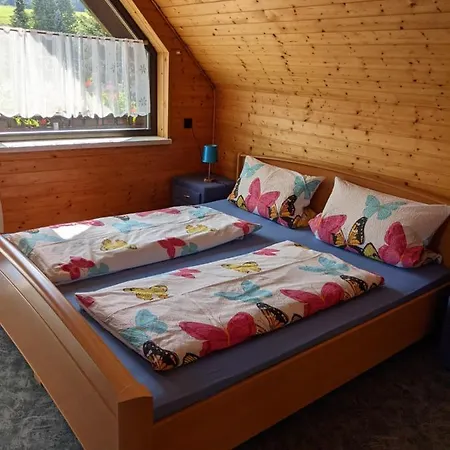 An Der Fichtelbergbahn Cranzahl