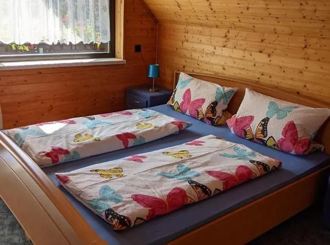 An Der Fichtelbergbahn Cranzahl